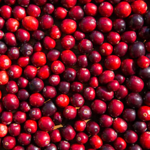 Thanksgiving leftovers