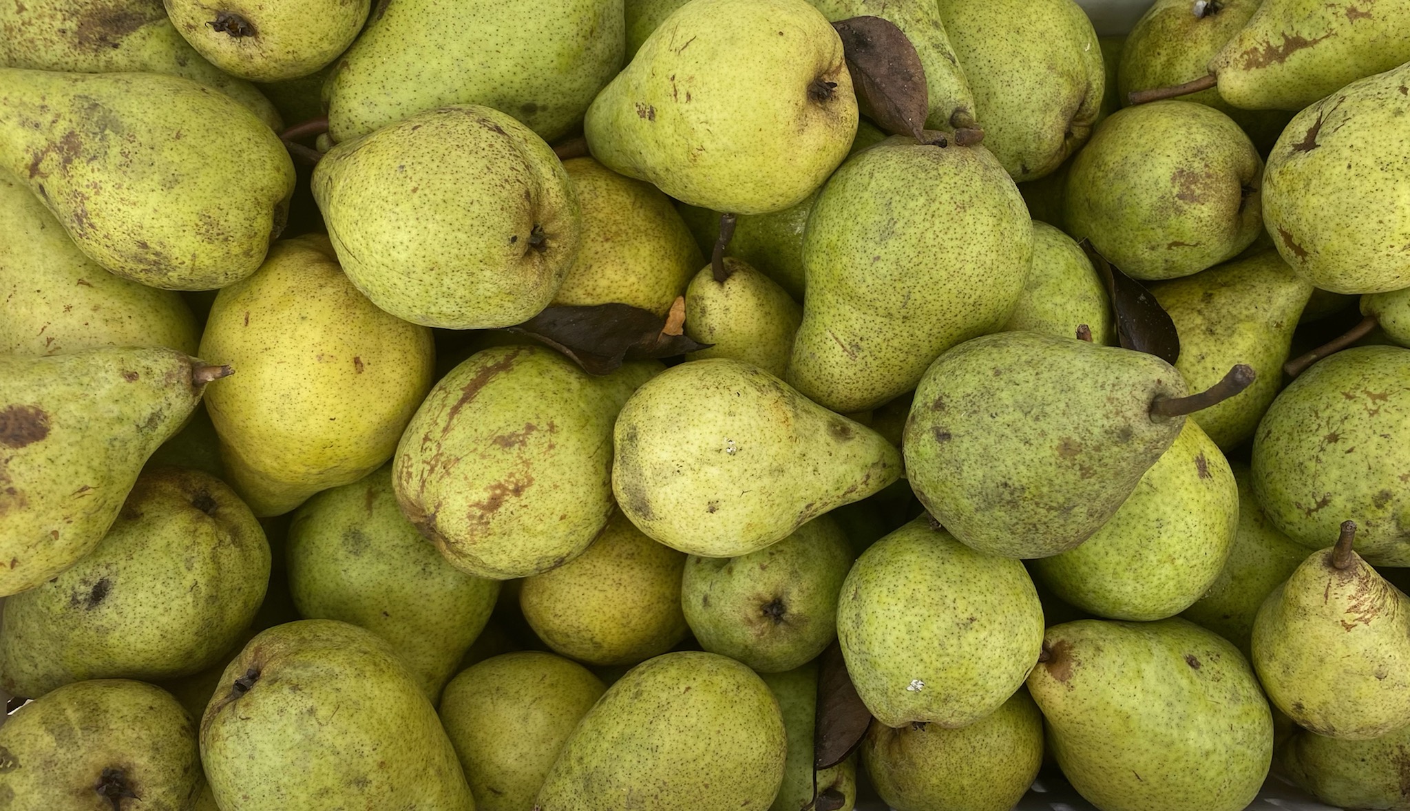 Pears, Perfect for Pairing : The Peasant Wife - The Peasant Wife