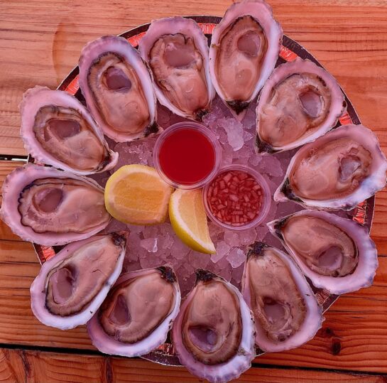 Sweet Amalia, the oyster