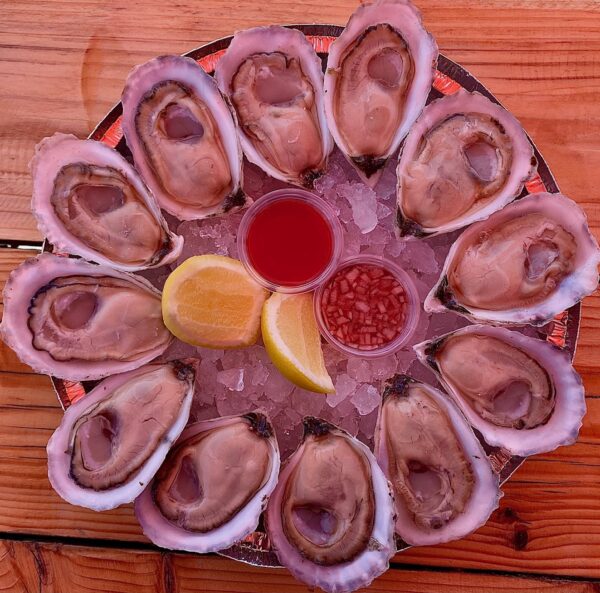Sweet Amalia, the oyster