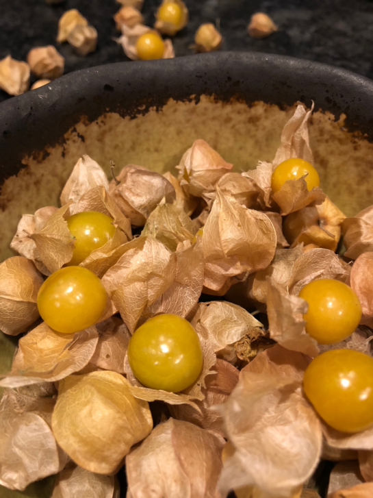Ground cherries