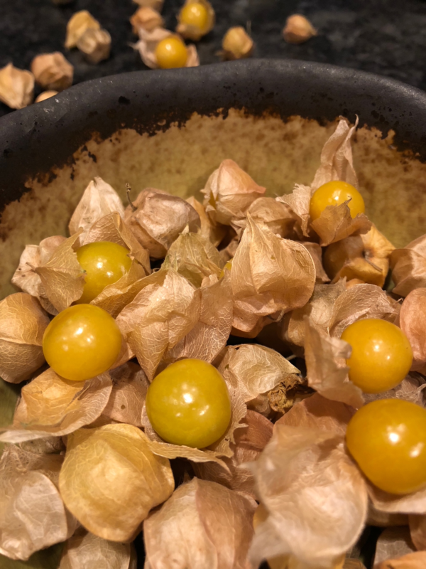 Ground cherries