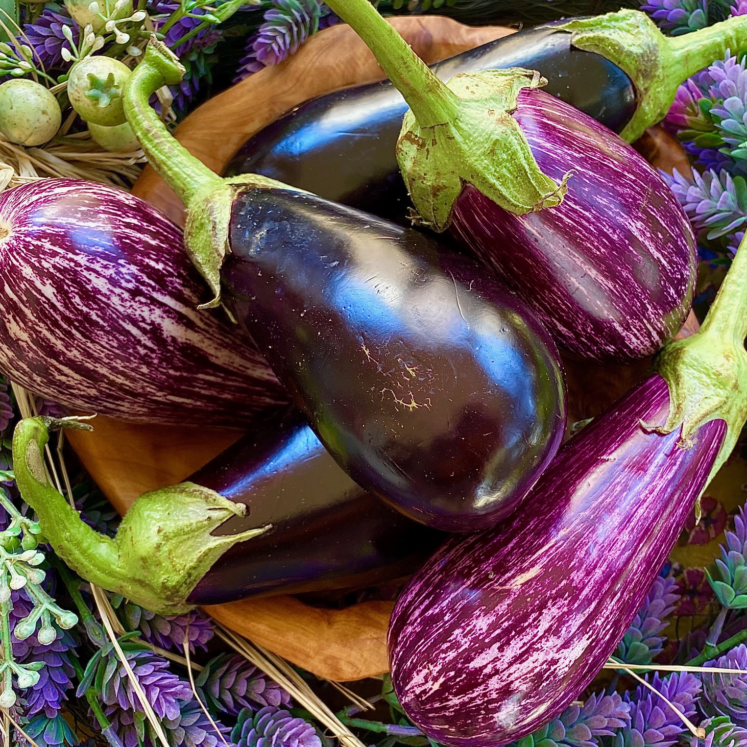 eggplantページ Eggplant Seeds , Long Purple Eggplant seeds, Heirloom, NON-GMO