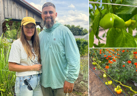 Left: Jenn Matthews Steiner and Andrew Steiner; top right: Bishop's Crown pepper plant; bottom right: Tomatoes in high tunnel on hook and trellis system by Neversink Farms