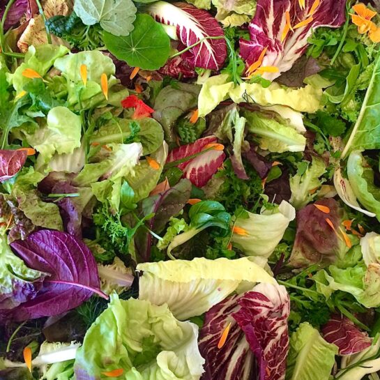 Resolutions for 2026